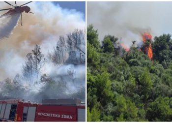 Φωτιά στην Ηλεία: Εκκενώνονται τέσσερις περιοχές – Πολλαπλό το πύρινο μέτωπο – Προσαγωγή υπόπτου