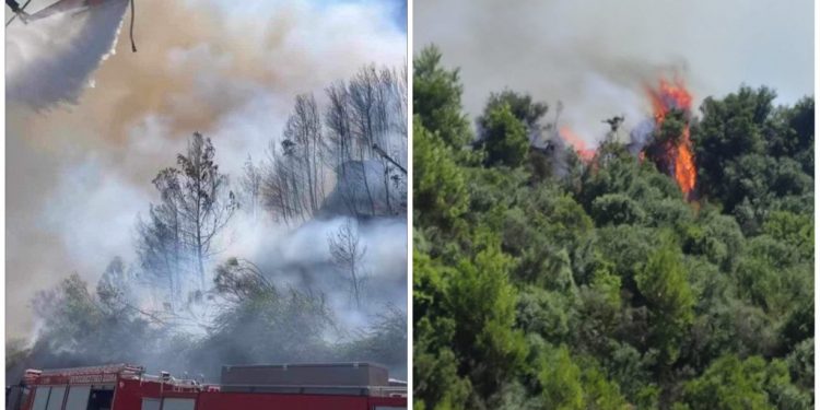 Φωτιά στην Ηλεία: Εκκενώνονται τέσσερις περιοχές – Πολλαπλό το πύρινο μέτωπο – Προσαγωγή υπόπτου