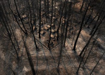 Φωτιά: Ακόμη ένας νεκρός βρέθηκε στο δάσος της Δαδιάς στον Έβρο