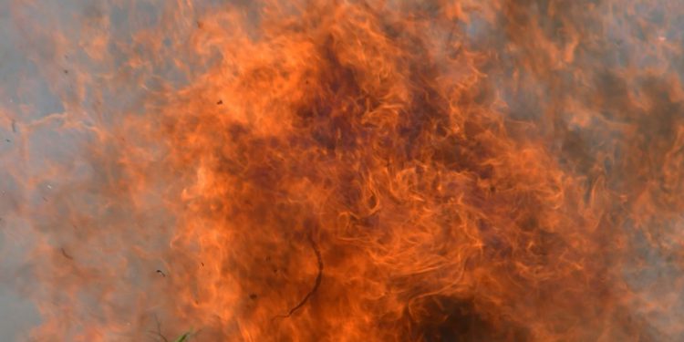 Φωτιά στην Κεφαλονιά – Κοντά σε κατοικημένη περιοχή