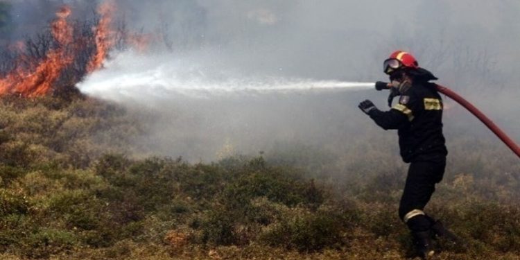 Πυρκαγιά σε αγροτική έκταση στη Ροδόπη