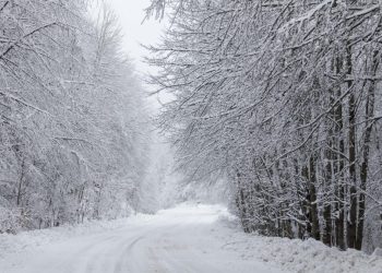 Καλλιάνος: Έχω καιρό να δω τέτοιο βαρομετρικό χαμηλό, χιόνια στα 300 μέτρα και θυελλώδεις άνεμοι