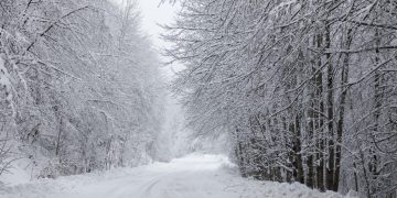 Καλλιάνος: Έχω καιρό να δω τέτοιο βαρομετρικό χαμηλό, χιόνια στα 300 μέτρα και θυελλώδεις άνεμοι