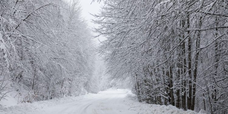 Καλλιάνος: Έχω καιρό να δω τέτοιο βαρομετρικό χαμηλό, χιόνια στα 300 μέτρα και θυελλώδεις άνεμοι