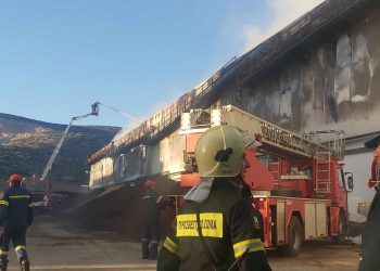 Βόλος: Σε επιφυλακή δυνάμεις πυρόσβεσης, στο εργοστάσιο όπου ξέσπασε πυρκαγιά στις αποθήκες