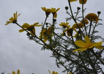 Καιρός: Συννεφιά και 26αρια το Σάββατο – Πέφτει η θερμοκρασία από την Κυριακή