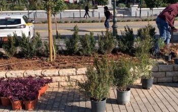 Φυτεύσεις εποχικών λουλουδιών και αναπλάσεις πρασίνου από τον Δήμο Πειραιά