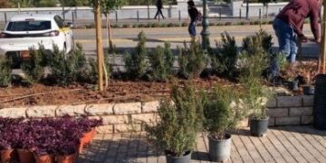 Φυτεύσεις εποχικών λουλουδιών και αναπλάσεις πρασίνου από τον Δήμο Πειραιά  