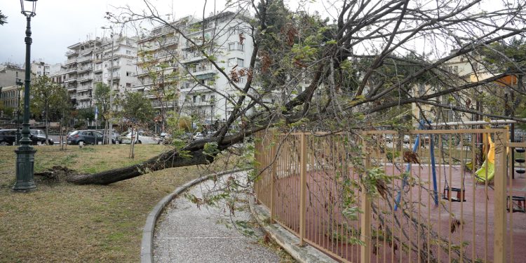 ΣΥΡΙΖΑ: Παραθερίζει το επιτελικό κράτος ενώ η κακοκαιρία Bora σαρώνει τη χώρα