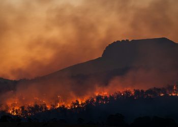 Το 2025 και ένα μέλλον αβέβαιο – Επτά κρίσιμες στιγμές για το Κλίμα και τη φύση