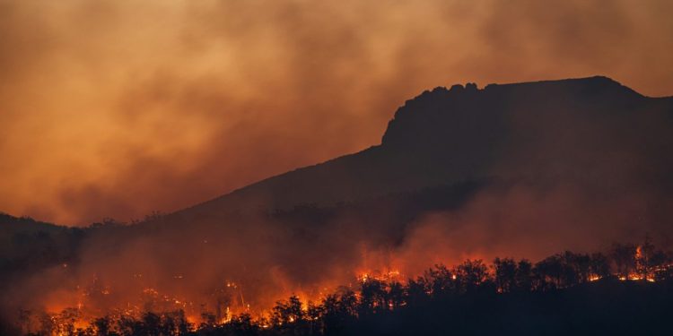 Το 2025 και ένα μέλλον αβέβαιο – Επτά κρίσιμες στιγμές για το Κλίμα και τη φύση