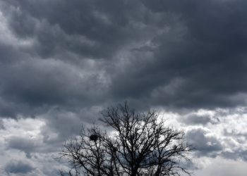 Συννεφιασμένος ο καιρός τη Δευτέρα – Έως τους 19 βαθμούς η θερμοκρασία