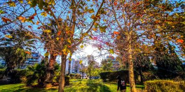 Αίθριος ο καιρός την Πέμπτη: Έρχονται βροχές και καταιγίδες το Σαββατοκύριακο