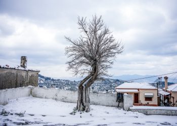 Η πιο ψυχρή μέρα του 2025 το Σάββατο – Από 4 έως 6 βαθμούς Κελσίου κάτω από τα κανονικά επίπεδα το θερμόμετρο