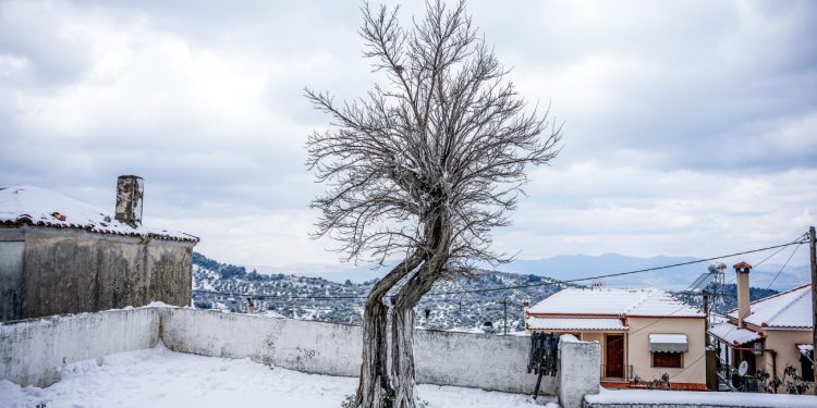 Η πιο ψυχρή μέρα του 2025 το Σάββατο – Από 4 έως 6 βαθμούς Κελσίου κάτω από τα κανονικά επίπεδα το θερμόμετρο