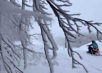 Καιρός: Χιόνια στην Εύβοια – Στα λευκά «ντύθηκαν» τα χωριά Καμπιά και Σέτα