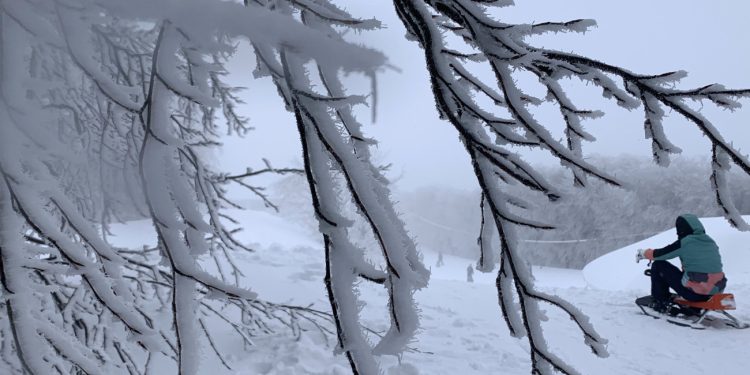 Καιρός: Χιόνια στην Εύβοια – Στα λευκά «ντύθηκαν» τα χωριά Καμπιά και Σέτα