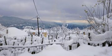 Κακοκαιρία Coral: «Βουτιά» της θερμοκρασίας έως 10 βαθμούς – Πού θα χιονίσει