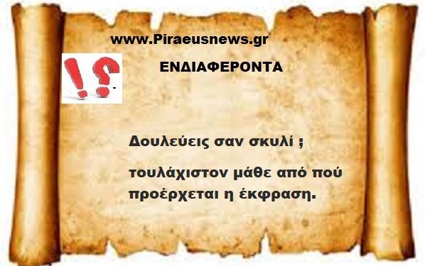 Δουλεύεις σαν σκυλί ; τουλάχιστον μάθε από πού προέρχεται η έκφραση.