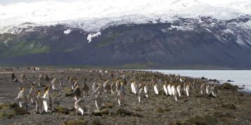 Τραμπ: Επέβαλε δασμούς ακόμη και σε ακατοίκητα νησιά κοντά στην Ανταρκτική