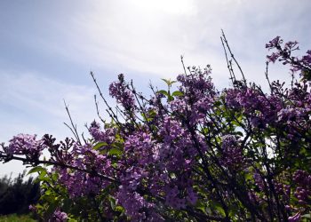 Καιρός: Αλλάζει το σκηνικό – Από πότε πέφτει η θερμοκρασία και πόσο