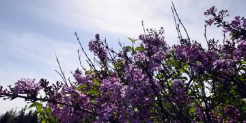 Καιρός: Αλλάζει το σκηνικό – Από πότε πέφτει η θερμοκρασία και πόσο