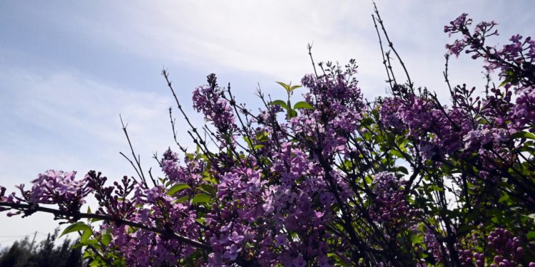 Καιρός: Αλλάζει το σκηνικό – Από πότε πέφτει η θερμοκρασία και πόσο