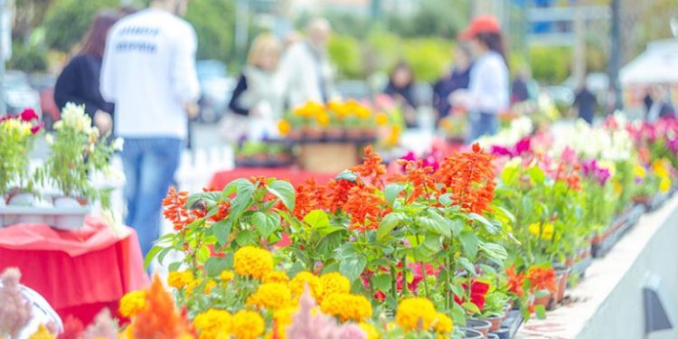 Ο Δήμος Πειραιά προσέφερε γλαστράκια με πολύχρωμα λουλούδια για την  Εργατική  Πρωτομαγιά