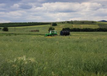 ΟΠΕΚΕΠΕ: Πώς παρεμπόδιζαν τις έρευνες της ΕΛ.ΑΣ.