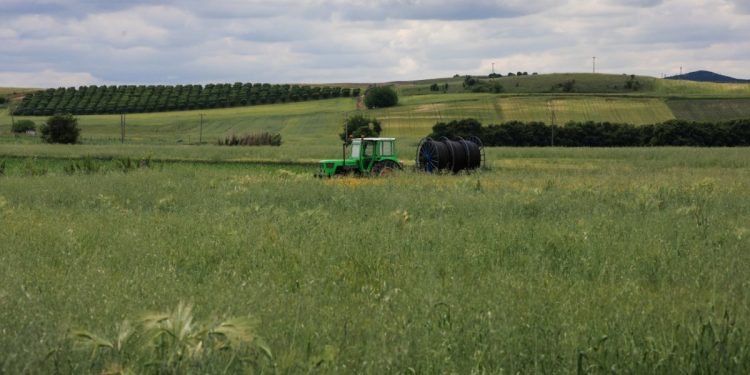 ΟΠΕΚΕΠΕ: Πώς παρεμπόδιζαν τις έρευνες της ΕΛ.ΑΣ.