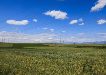 Στα άδυτα του ΟΠΕΚΕΠΕ η Ευρωπαϊκή Εισαγγελία – Πληθαίνουν οι καταγγελίες από κτηνοτρόφους