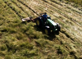 ΟΠΕΚΕΠΕ: Διάλογοι «φωτιά» – «Εφόσον στέκει το Μαξίμου και στέκει και Μάκης είσαι βράχος…»