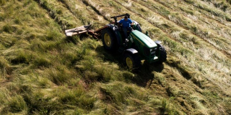 ΟΠΕΚΕΠΕ: Διάλογοι «φωτιά» – «Εφόσον στέκει το Μαξίμου και στέκει και Μάκης είσαι βράχος…»