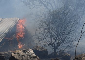 Φωτιές: Μάχη με τις φλόγες σε Κύθηρα, Μεσσηνία, Χανιά και Εύβοια – Χωρίς ενεργό μέτωπο στη Δροσοπηγή