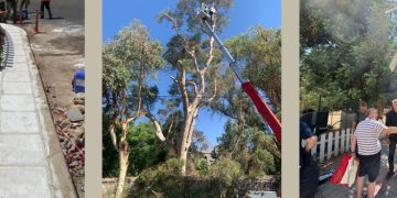 Η καθημερινότητα στο προσκήνιο: παρεμβάσεις με αντίκρισμα στον Πειραιά Γιάννης Μώραλης: «Η αλλαγή στην πόλη μας χτίζεται κάθε μέρα, σε κάθε γειτονιά»