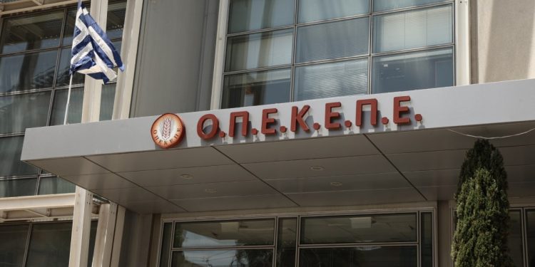ΟΠΕΚΕΠΕ: Σοβαρή καταγγελία – Πρώην υφυπουργός της κυβέρνησης ζήτησε να πληρωθεί επιδότηση σε νεκρό