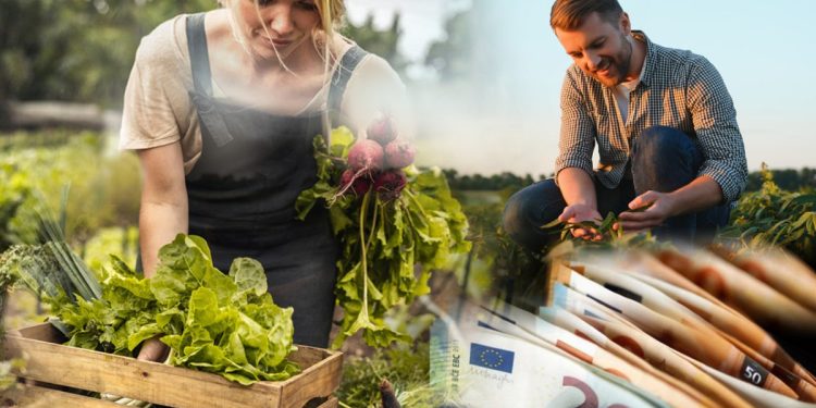 Σε οριακό σημείο χιλιάδες αγρότες και κτηνοτρόφοι – Ορατός ο κίνδυνος μη πληρωμής ενισχύσεων λόγω ΟΠΕΚΕΠΕ