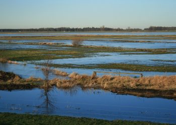 «Βαλτώνοντας» τον επεκτατισμό του Πούτιν και την κλιματική αλλαγή