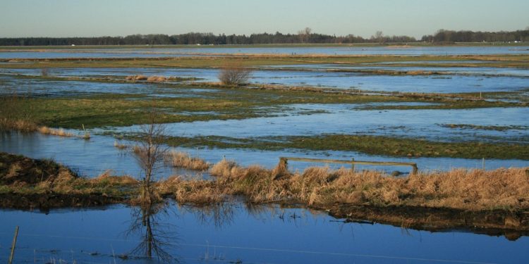 «Βαλτώνοντας» τον επεκτατισμό του Πούτιν και την κλιματική αλλαγή