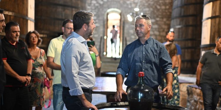 Ανδρουλάκης: Το σκάνδαλο του ΟΠΕΚΕΠΕ δείχνει την αποτυχία της ΝΔ να ενισχύσει τον πρωτογενή τομέα