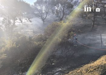 Σε ύφεση το πύρινο μέτωπο στην Κερατέα, μάχη με τις αναζωπυρώσεις – Νέα 112 για εκκενώσεις οικισμών τα ξημερώματα