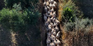 Σκάνδαλο ΟΠΕΚΕΠΕ: Τα «γαλάζια καρφιά» για τον «πράσινο Χνάρη» – Η απάντηση του βουλευτή Ρεθύμνης