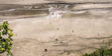 «Μέχρι το τέλος Οκτωβρίου θα έχει αποκαλυφθεί ολόκληρο το χωριό Κάλλιο»- Κατά 52% μειώθηκε η επιφάνεια της λίμνης του Μόρνου σε τέσσερα χρόνια