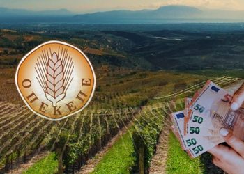 Κάτρης (Cognitera) στην εξεταστική της Βουλής: λυσσαλέες αντιδράσεις στον ΟΠΕΚΕΠΕ για τη μετάβαση στο gov.gr