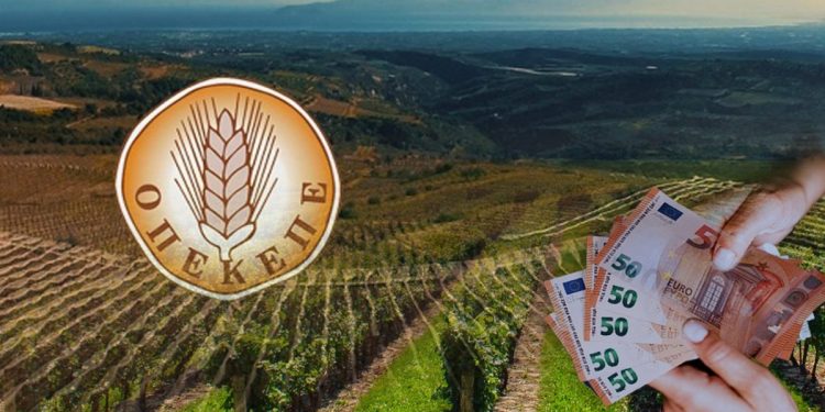 Κάτρης (Cognitera) στην εξεταστική της Βουλής: λυσσαλέες αντιδράσεις στον ΟΠΕΚΕΠΕ για τη μετάβαση στο gov.gr