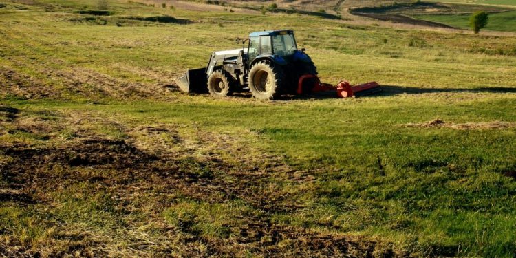 Αγροτικές επιδοτήσεις: Ημερομηνία-ορόσημο η 4η Νοεμβρίου