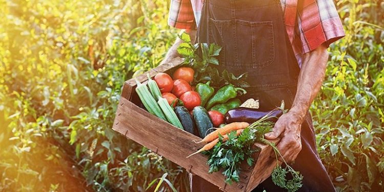 Eurostat: Βουλιάζει η παραγωγικότητα του αγροτικού τομέα στην Ελλάδα – Αυξάνεται στην ΕΕ