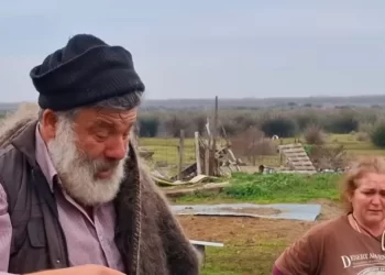 «Τα πρόβατά μου γιατρεύτηκαν αλλά τα θανατώνουν» – Λόγια απόγνωσης από τον κτηνοτρόφο που υπέστη εγκεφαλικό