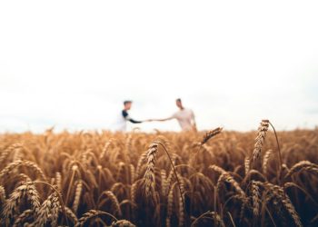 Η ΑΑΔΕ διευκρινίζει τη διαδικασία μετάβασης υπαλλήλων του ΟΠΕΚΕΠΕ, διασφαλίζοντας όμοιες θέσεις και καθήκοντα χωρίς επιπτώσεις στις διεθνείς συνεργασίες τους