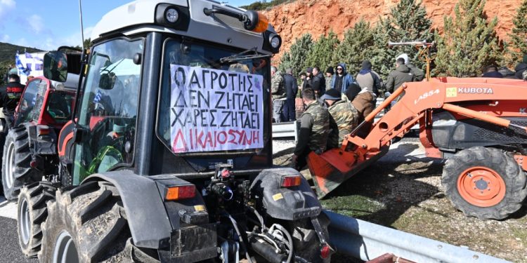 Ποιοι είναι οι άνθρωποι πίσω από τα τρακτέρ: Μειώνονται σε αριθμό, «γκριζάρουν» σε ηλικία οι Έλληνες αγρότες